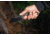 TOPS Knives Sheep Creek Knife, 3.75in, 154CM, Fixed Blade, Green w/ Tan liner, SPCK-01