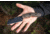 TOPS Knives Sheep Creek Knife, 3.75in, 154CM, Fixed Blade, Green w/ Tan liner, SPCK-01