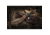 TOPS Knives Woodcraft Fixed Blade