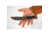 TOPS Knives Woodcraft Fixed Blade