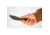 TOPS Knives Woodcraft Fixed Blade