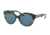 Tory Burch TY7087 Bifocal Prescription Sunglasses TY7087-314580-52 - Lens Diameter 52 mm, Frame Color Blue Brown Tort