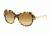 Tory Burch TY7116 Bifocal Prescription Sunglasses TY7116-17182L-53 - Lens Diameter 53 mm, Frame Color Tokyo Tortoise