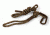 Tree Spider Reflective Thread Tree strap, Olive, One Size RSTS