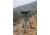 Tricer GTP-1 Tripod, Black, GTPI-Tri-1