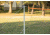 Triumph 18 Beginner Badminton Set, 35-7107