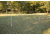 Triumph 18 Beginner Badminton Set, 35-7107