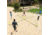 Triumph 4 Square Pickleball Net, 35-7480-3
