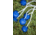 Triumph Replacement Ladderball Bola Set, Blue, 12-0075BL-2