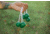 Triumph Replacement Ladderball Bola Set, Green, 12-0075GN-2