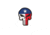 Trooper Clothing Texas Punisher Flag Face PVC Patch, Multicolor PVC-9653