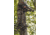 Trophy Treestands Freedom - Shooting Rail, TL113-SR