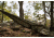 5ive Star Gear Camping Hammock All-In-One Kit, 116x58in, OD Green, 9216000
