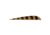 Trueflight Parabolic Barred, Feathers Bronze 5 in. LW 100pk 1845