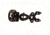 TruGlo Storm Sight, Black 4 Pin .019 w/TFO RH/LH, TG3014T