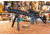 TRYBE Optics 1-8x24mm Rifle Scope, Magpul MOE-K Grip, Primary Arms 30mm PLx Cantilever Mount