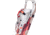 Tubbs Frontier Snowshoes - Womens, 30, X20010030130W-30 W