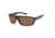 Typhoon Gallatin Bifocal Rx Sunglasses, Tortoise Frame 939TBRBF
