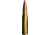 ULTIMATE AMMUNITION Sniper 50BMG 720 Grain BMG Brass Pistol Ammo, 10 Rounds, 4153
