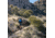 Ultimate Direction Mountain Vest 6 - Mens, Blue, Medium, 80457423UDB - MD