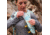 Ultimate Direction Mountain Vest 6 - Womens, Ice Blue, SM, 80469423ICB-SM