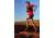 Ultraspire Momentum 2.0 Race Vest, Black/Red, Small, UA123BKSM