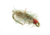 Umpqua Tailwater Sowbug