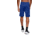 Under Armour UA Raid 10in Short - Mens, Royal, Medium, 1253527400MD