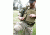 United States Tactical Molle Tourniquet Pouch, Coyote UST-MOL00102