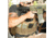United States Tactical Reversible Chest Rig, Coyote, UST-MOL00602
