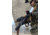 Unity Tactical Top Mounted Deployable Iron Sight, Black, FUS-S1B