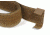Cynology War Labs Standard Collar, Large, Coyote