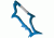 UST Shark Carabiner, Blue 20-12079