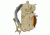Vanquest Gear TRIDENT-20 Gen-2 Backpack, Coyote Tan, Large 770220CT