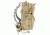 Vanquest Gear TRIDENT-20 Gen-2 Backpack, Coyote Tan, Large 770220CT