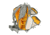 Vanquest Gear Trident-21 Gen-3 Backpack, Wolf Gray, Large, 770321WG
