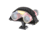 Velbon Binocular Holder, Black BINOCULAR HOLDER