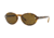 Versace VE4352 Sunglasses 527673-54 - Havana Frame, Brown Lenses