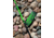 Vexan StrikeBack Rod &amp; Reel Combos, 10 in, 7 ft, Medium Action, 3000 Spinning, Black/Green, 42-41JG-5MCO