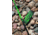 Vexan StrikeBack Rod &amp; Reel Combos, 10 in, 7 ft 4 in, Heavy Action, 3000 Spinning, Black/Green, HB-9H8R-3P7U