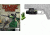 Viridian Universal Fullsize Green Laser Sight with Tactical Light - Zombie Edition