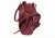 Vism Daisy Crossbody Satchel, Burgundy, BWQ003