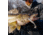 VMC Tungsten Moon Eye Jig
