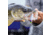 VMC Tungsten Moon Eye Jig