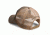 Vortex Mule Deer Mesh Cap, Tan, One Size HAT-VT-MD