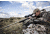 Vortex Razor HD LH 2-10x40 Rifle Scope with HSR-4, Black RZR-1558