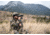 Vortex Razor UHD 10x50mm Abbe-Koenig Prism Binocular, Green, 4.5x8.12x9.75, Full-Size, RZB-3105