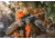 Vortex Viper HD 2-10x42 Rifle Scope, 30mm Tube, Second Focal Plane, Dead-Hold BDC MOA Reticle, Black, VPR-21001