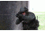 Vortex Viper PST 1-4x24 Rifle Scope, 30mm Tube, Second Focal Plane, TMCQ MOA Reticle, Hard Anodized, Black, PST-14ST-A