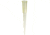 VWR and Signature Non-Bevel Pipet Tips 1099-165-000 Vwr Tips, Ultrafine Point